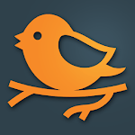 300 Swedish Birds icon