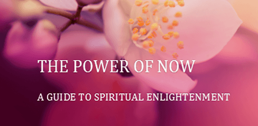 The Power of NOW (PDF) PC screenshot