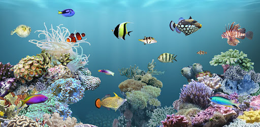 aniPet Aquarium LiveWallpaper PC screenshot