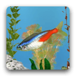 aniPet Freshwater Live WP icon