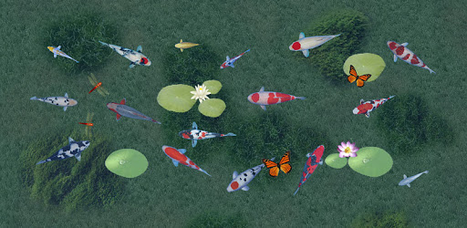 aniPet Koi LiveWallpaper PC screenshot