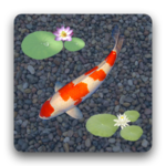 aniPet Koi LiveWallpaper icon