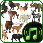 Real Animal & Natural Bird Sounds icon