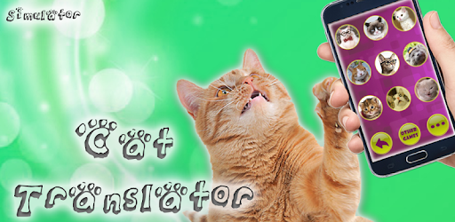 Translator for cats (joke) PC screenshot Translator for cats (joke) PC screenshot