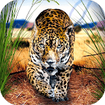 Wild Leopard: African Animal Survival icon