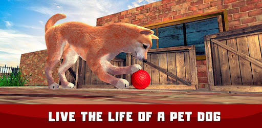 Shiba Inu Simulator 3D PC screenshot