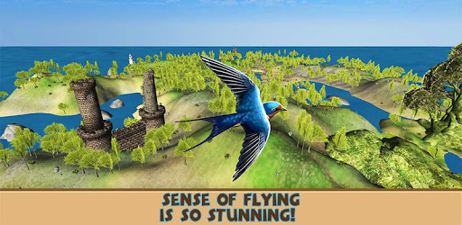 Bird Simulator - Wild Swallow PC screenshot