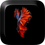 Fish 3D Live Wallpaper icon