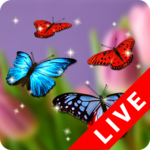 Butterfly Wallpaper for PC