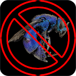Anti Wasp Sound for PC