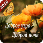 Доброе утро Доброй ночи / Good morning Good night for PC Доброе утро Доброй ночи / Good morning Good night for PC