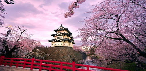 NHK Easy Japanese News - Simple, Fast and Useful PC screenshot NHK Easy Japanese News - Simple, Fast and Useful PC screenshot