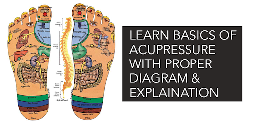 Learn Acupressure Basics PC screenshot