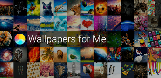 Wallpapers & Backgrounds for Me PC screenshot