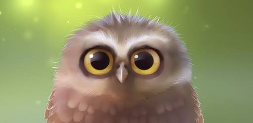 Little Owl Lite PC screenshot
