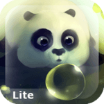 Panda Dumpling Lite icon