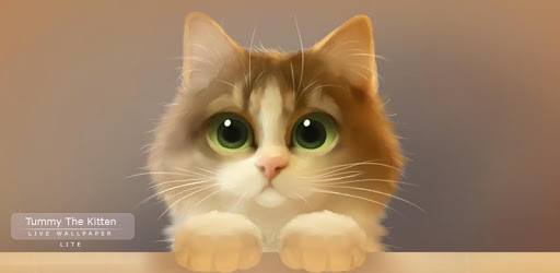 Tummy The Kitten Lite PC screenshot