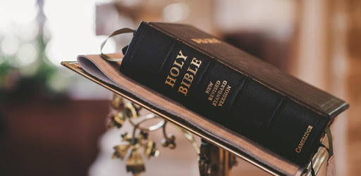 The Holy Bible English - Free Offline Bible App PC screenshot