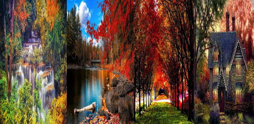 Autumn Wallpaper PC screenshot Autumn Wallpaper PC screenshot