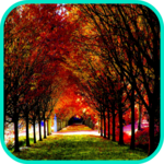 Autumn Wallpaper for PC Autumn Wallpaper for PC