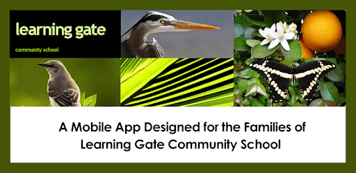 Learning Gate Community School PC screenshot