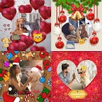 Pets photo editor for PC Pets photo editor for PC