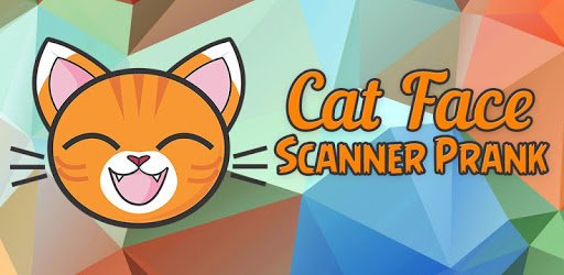 Kittens: what cat are you? PC screenshot