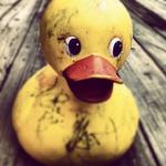 Best Dirty Jokes for PC Best Dirty Jokes for PC