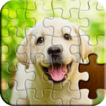 Jigsaw Puzzle icon