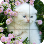 Puzzle - kittens icon