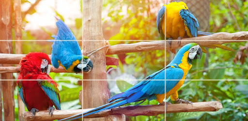 Puzzle - Birds PC screenshot Puzzle - Birds PC screenshot