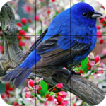 Puzzle - Birds for PC Puzzle - Birds for PC