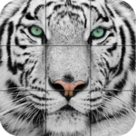 Puzzle - Wild animals icon