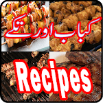 Delicious Kabab and Tikkay Recipes 2018 icon