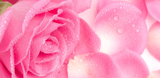 Romantic Love Purtgese PC screenshot