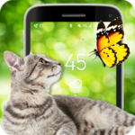 Screen Fun Animals for PC Screen Fun Animals for PC