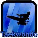 Taekwondo Kicks Videos - Offline icon