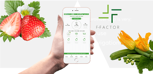 F-Factor PC screenshot