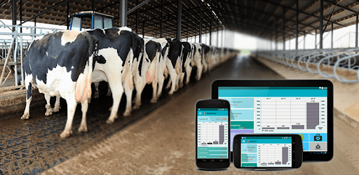 Smart Cow PC screenshot