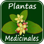 Medicinal Plants and Their Uses icon