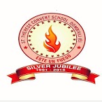 St Therese Convent High School icon