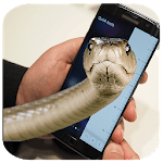Snake On Screen Prank and Hissing Joke 2017 for PC