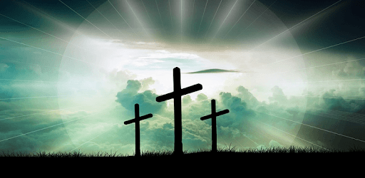 New Living Translation Bible ( NLT) Holy Bible PC screenshot New Living Translation Bible ( NLT) Holy Bible PC screenshot