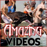 Most Amazing Videos HD for PC Most Amazing Videos HD for PC
