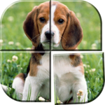 Dog Puzzle Games Free for PC Dog Puzzle Games Free for PC