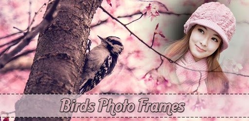 Birds Photo Frames : Unlimited Flying Birds Frames PC screenshot