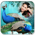 Birds Photo Frames : Unlimited Flying Birds Frames for PC