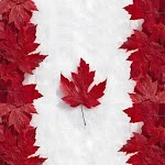 Canada Immigration Eligibility icon