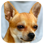Dog Barking Sounds icon