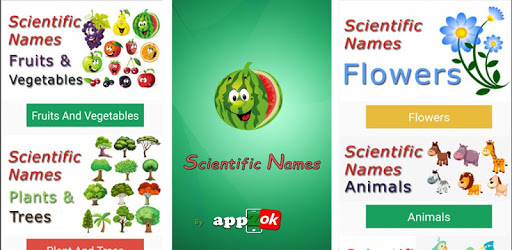 Scientific Names - All Classes PC screenshot Scientific Names - All Classes PC screenshot